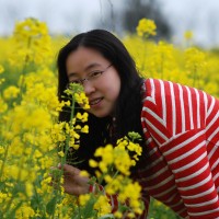 Echo Xu