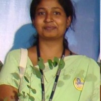 Lavanya H M