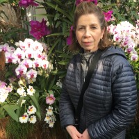 Carla Singer Lieberman