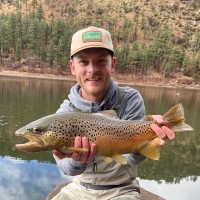 Chase Newlon