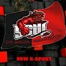 Ssw E-Sport