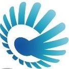 Crucialtec Global