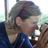 Linda Belien