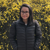 Dian Triana