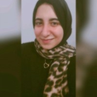 Haidy Elsayed
