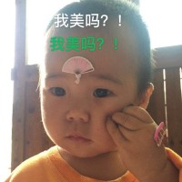陈Yuting