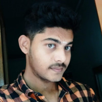 VIGNESH TS