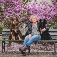 Lori Westling
