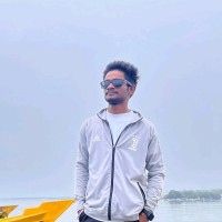 Gokul Raj S