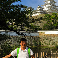 楊Yangdonald (鴻蒼
