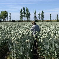 Mauro Alejandro Manini Gomez