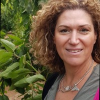 Ronit Levy