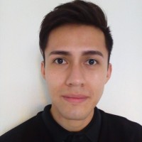 Oscar Paulino H.