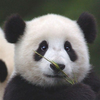 郭宏伟