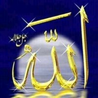 Mohamed S
