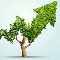 Sonia P. LLanos Bravo