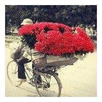 王子龙