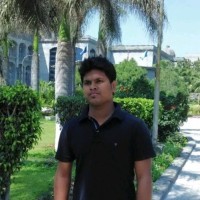 Rishu Raj