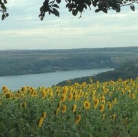 Alex Diniz Gonçalves