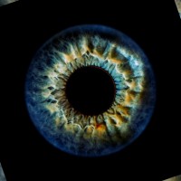 Aaditya Abhishek Singh