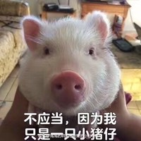 高天天