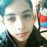 luis francisco guzman avila