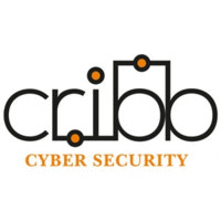 CRIBB Cyber Security News