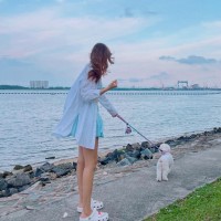 杨本正见