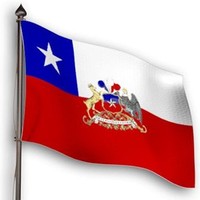 Guillermo Adrian De La Cerda Galleguillos