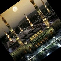 Raed Aldraiweesh