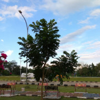 Juragan Kayu