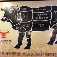沈晓斌