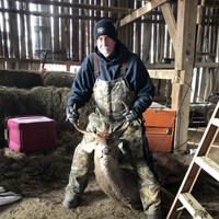 MARK MOZELEY