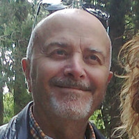 Domenico Alfonsi