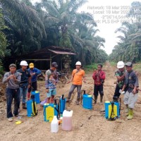 Sori Mangaratua Manurung