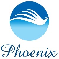 Phoenix IT Solutions