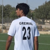 Aniteshwar Singh grewal