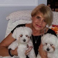 Sandra Connon