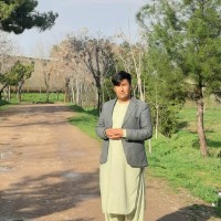 Rohullah Navid
