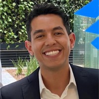 Luis Henrique Araujo
