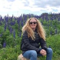 Sharon Shavit