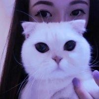 李艾佳