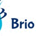 Brio Systems