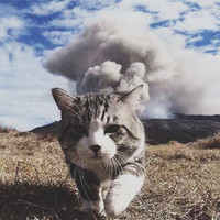 高志雄