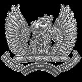 A (Ayrshire(EOCO)Yeomanry) Squadron Scottish and North Irish Yeomanry