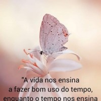 Julia Rodrigues