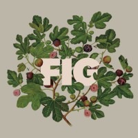 FIG Lebanon