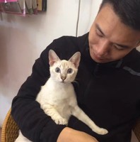 苏焕辉