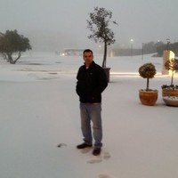 Arik Sofer