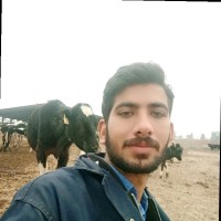 Vet Muhammad Zeeshan Ismail